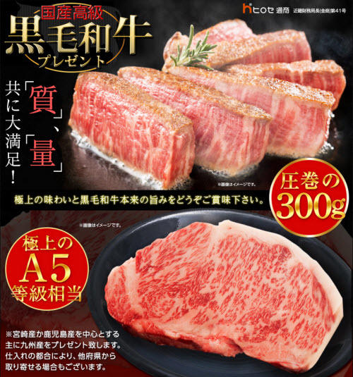 ヒロセ通商[LION FX]