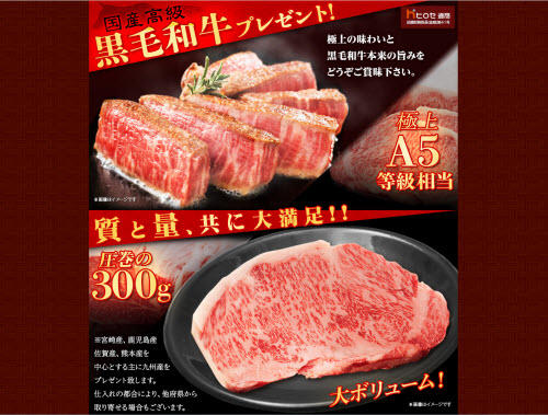 ヒロセ通商[LION FX]