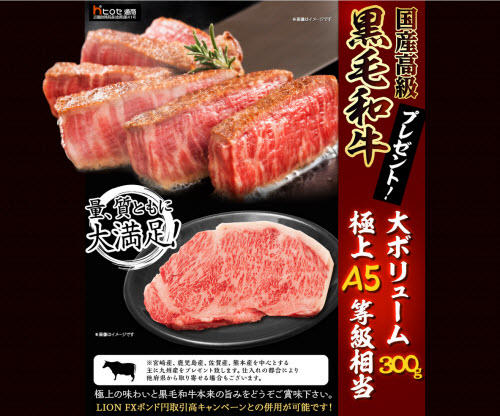 ヒロセ通商[LION FX]