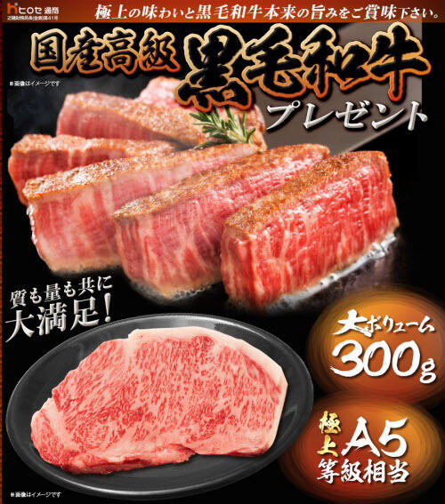 ヒロセ通商[LION FX]