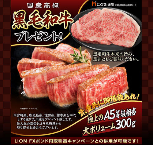 ヒロセ通商[LION FX]