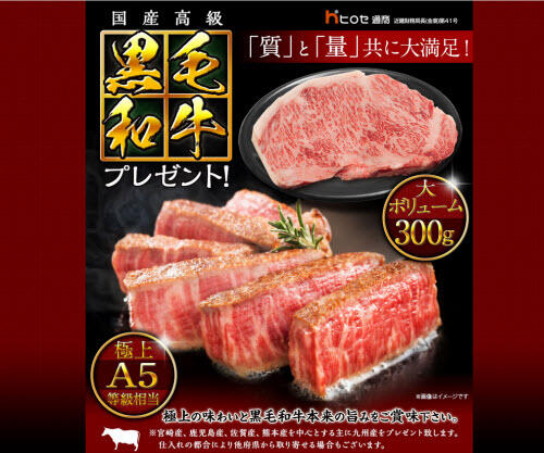 ヒロセ通商[LION FX]
