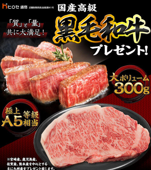 ヒロセ通商[LION FX]