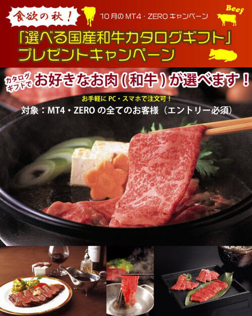外為ファイネスト[MT4ZERO]