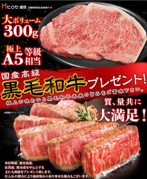 ヒロセ通商[LION FX]