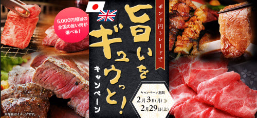 外為どっとコム[外貨ネクストネオ]