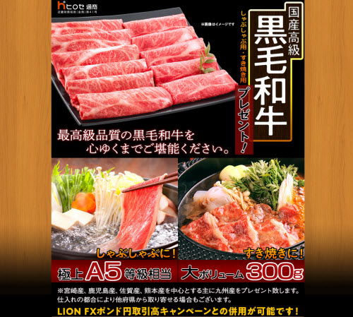 ヒロセ通商[LION FX]
