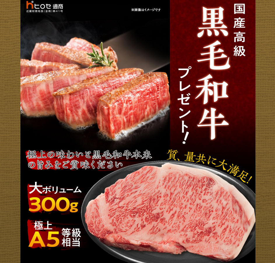 ヒロセ通商[LION FX]