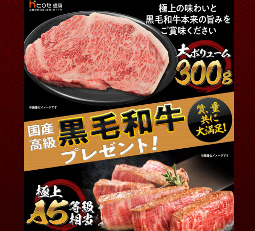 ヒロセ通商[LION FX]