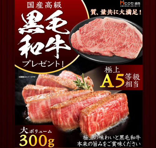 ヒロセ通商[LION FX]