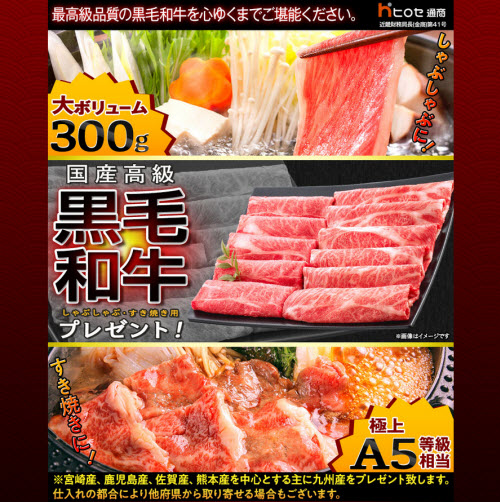 ヒロセ通商[LION FX]