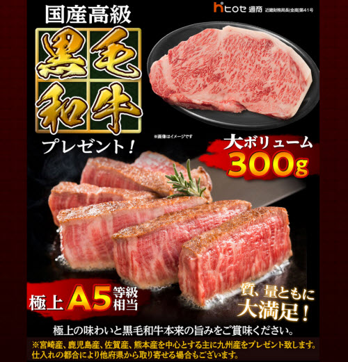 ヒロセ通商[LION FX]