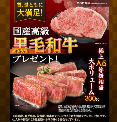 ヒロセ通商[LION FX]
