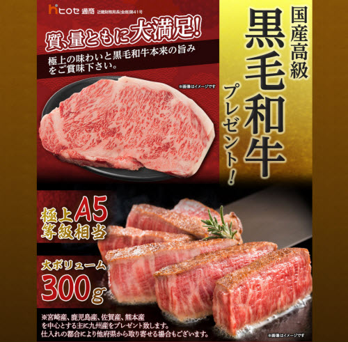 ヒロセ通商[LION FX]