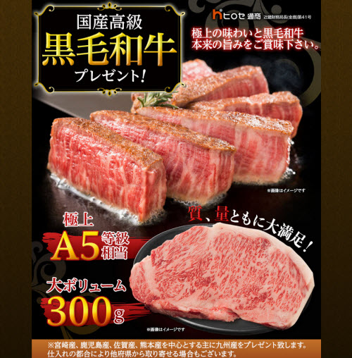 ヒロセ通商[LION FX]
