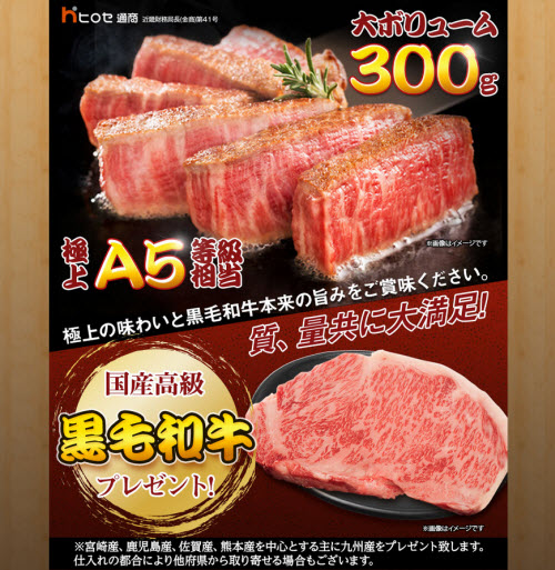 ヒロセ通商[LION FX]