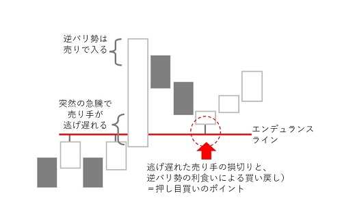 エンデュランスライン