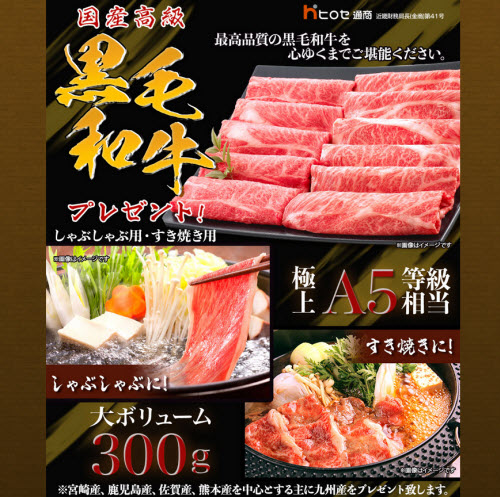 ヒロセ通商[LION FX]