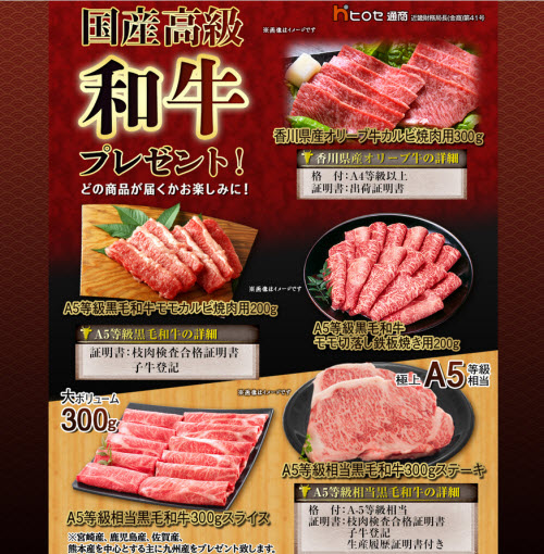 ヒロセ通商[LION FX]