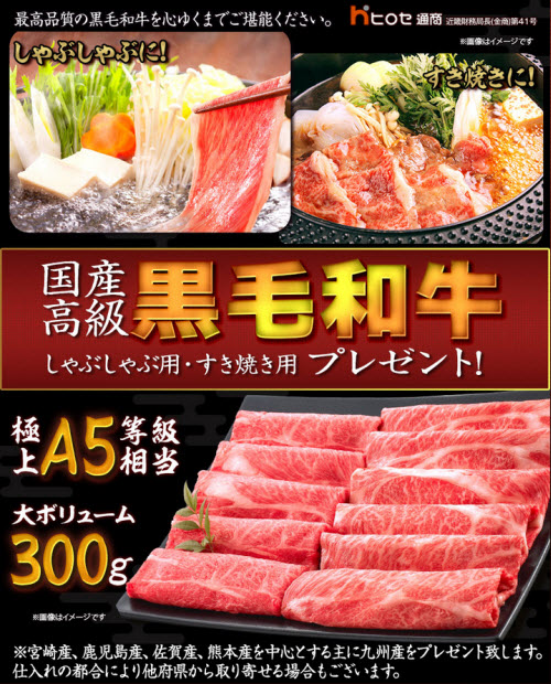 ヒロセ通商[LION FX]