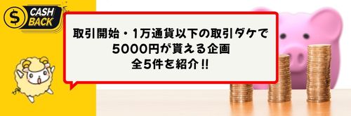 FX取引会社キャッシュバック企画5件