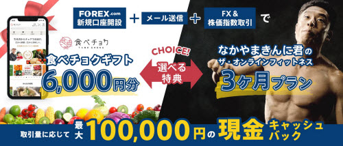 ストーンエックスフィナンシャル[FOREX.com]