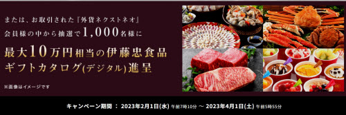 外為どっとコム[外貨ネクストネオ]