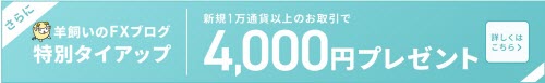 GMO外貨[外貨ex]