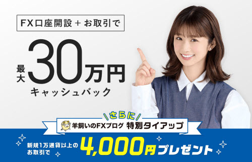 外貨ex byGMO[外貨ex]