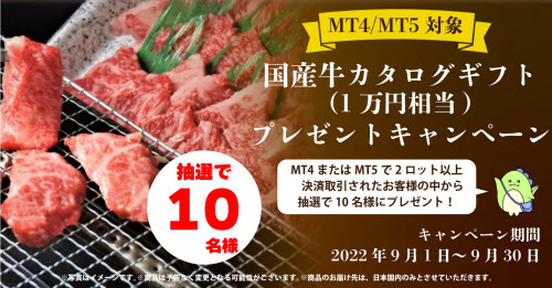 外為ファイネスト[MT4ZERO]