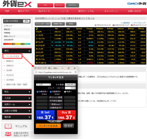 GMO外貨[外貨ex]