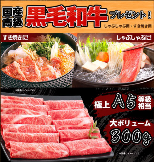 ヒロセ通商[LION FX]