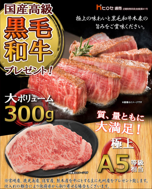 ヒロセ通商[LION FX]