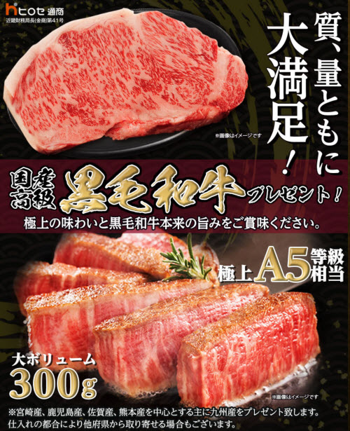 ヒロセ通商[LION FX]
