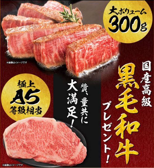 ヒロセ通商[LION FX]