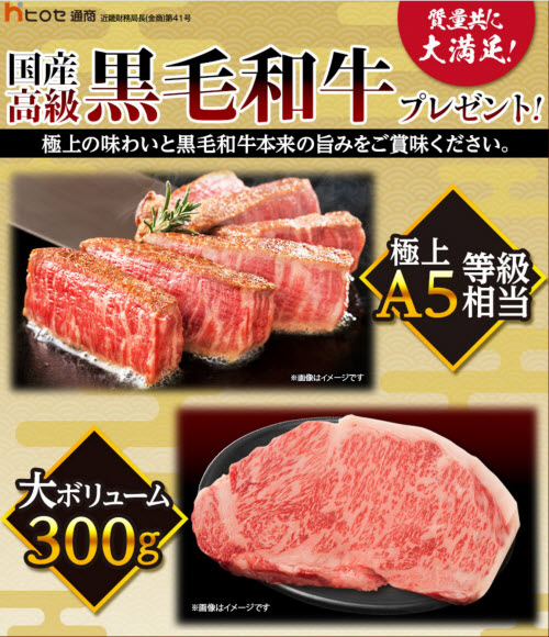 ヒロセ通商[LION FX]