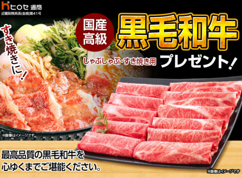 ヒロセ通商[LION FX]