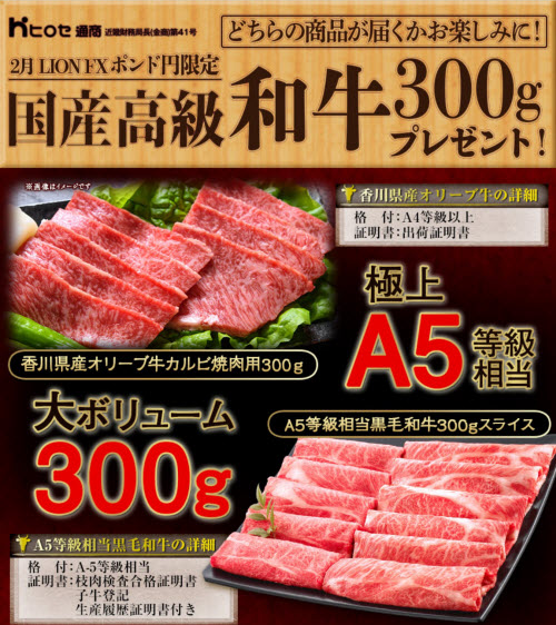 ヒロセ通商[LION FX]