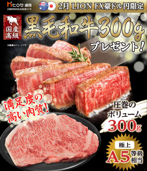 ヒロセ通商[LION FX]