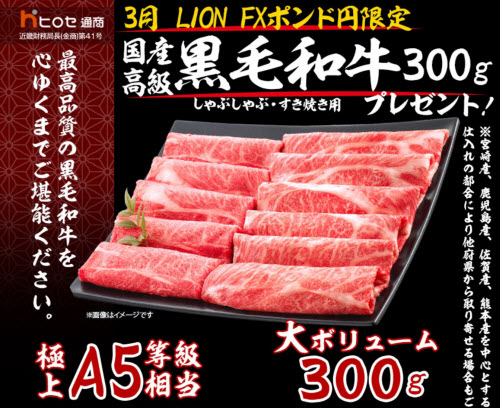 ヒロセ通商[LION FX]