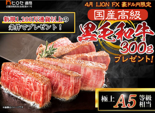 ヒロセ通商[LION FX]