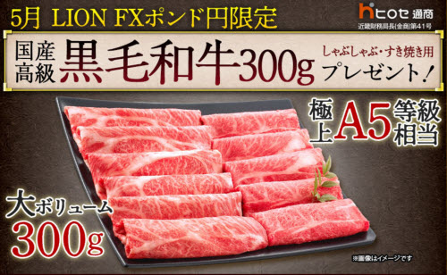 ヒロセ通商[LION FX]