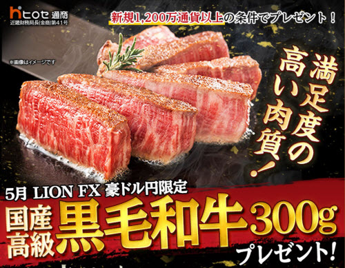 ヒロセ通商[LION FX]
