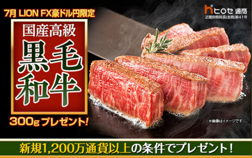 ヒロセ通商[LION FX]