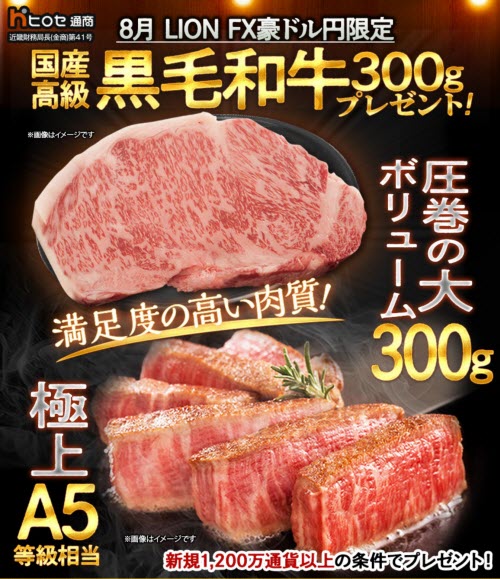 ヒロセ通商[LION FX]