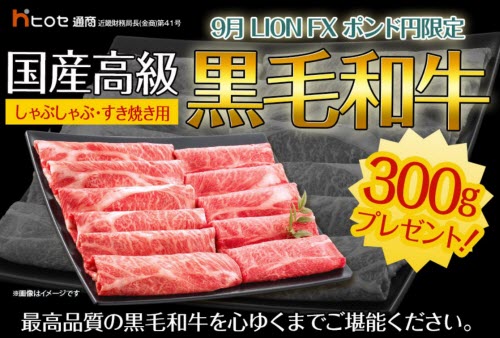 ヒロセ通商[LION FX]