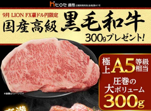 ヒロセ通商[LION FX]