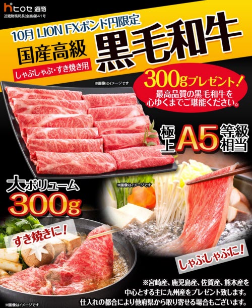 ヒロセ通商[LION FX]