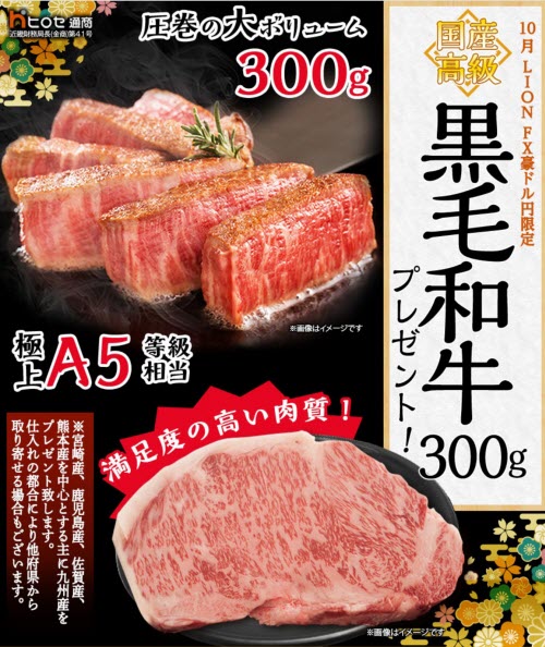 ヒロセ通商[LION FX]