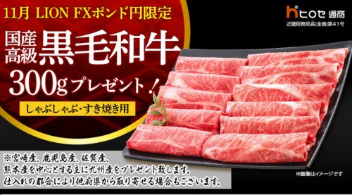 ヒロセ通商[LION FX]